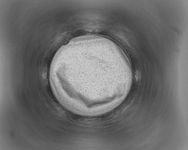 X0000113901396200910221428