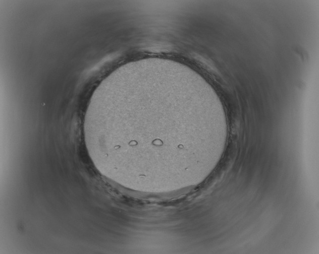 X0000113901398200910221428