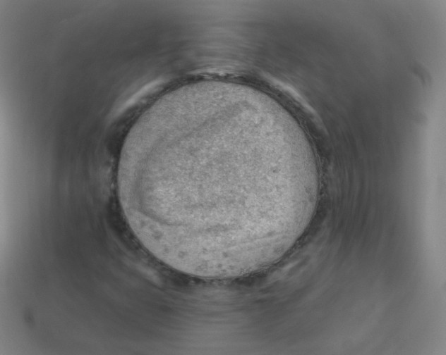 X0000113901399200910221428