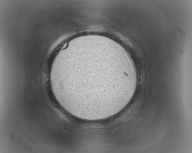 X0000113901400200910221428