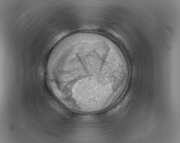 X0000113901401200910221428