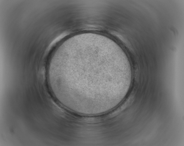 X0000113901402200910221428