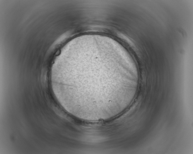 X0000113901403200910221428