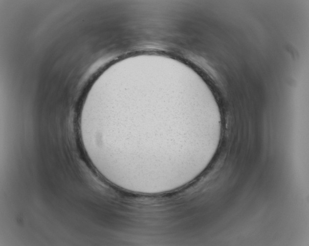 X0000113901404200910221428