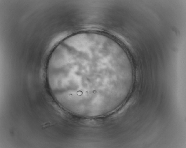 X0000113901405200910221428