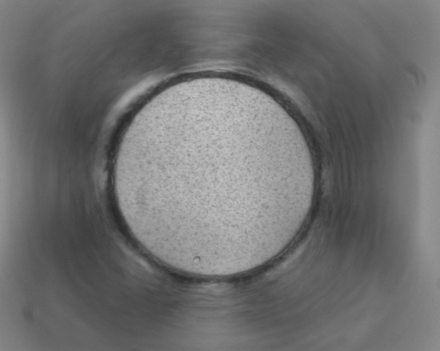 X0000113901406200910221428