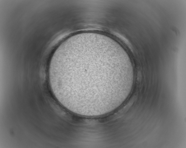 X0000113901407200910221428