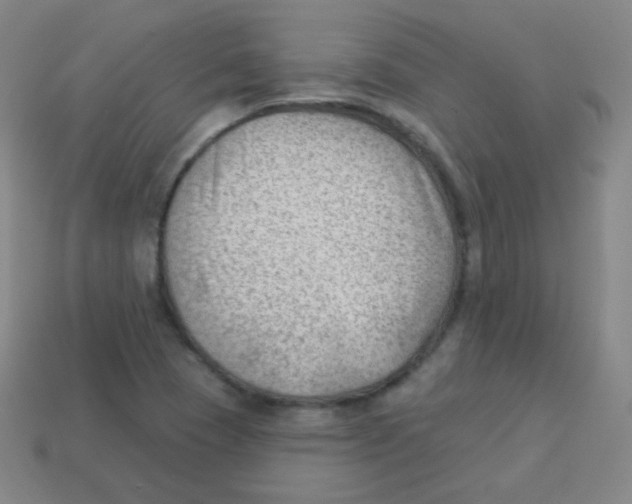 X0000113901409200910221428