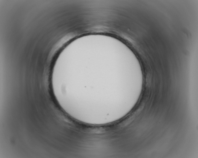 X0000113901410200910221428