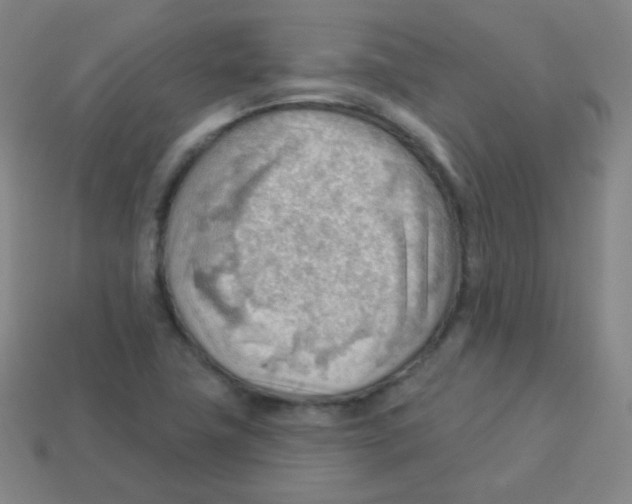 X0000113901411200910221428