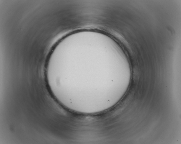 X0000113901412200910221428