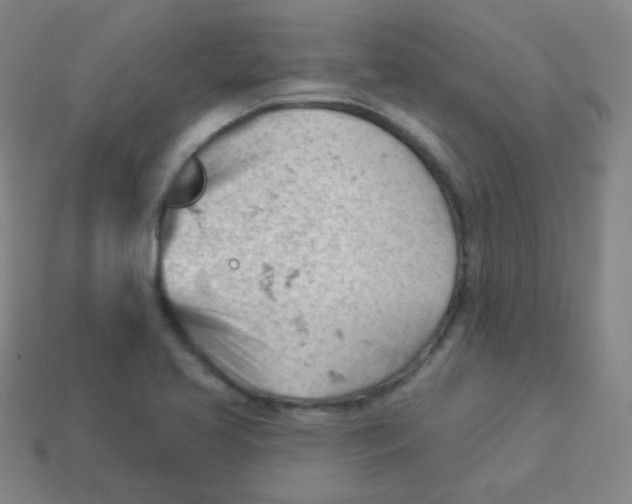 X0000113901413200910221428