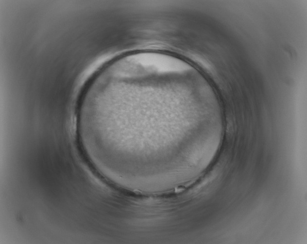 X0000113901414200910221428