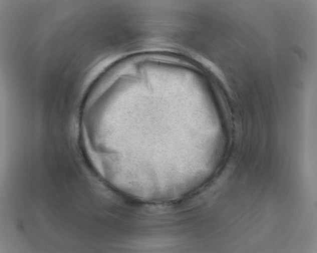 X0000113901415200910221428