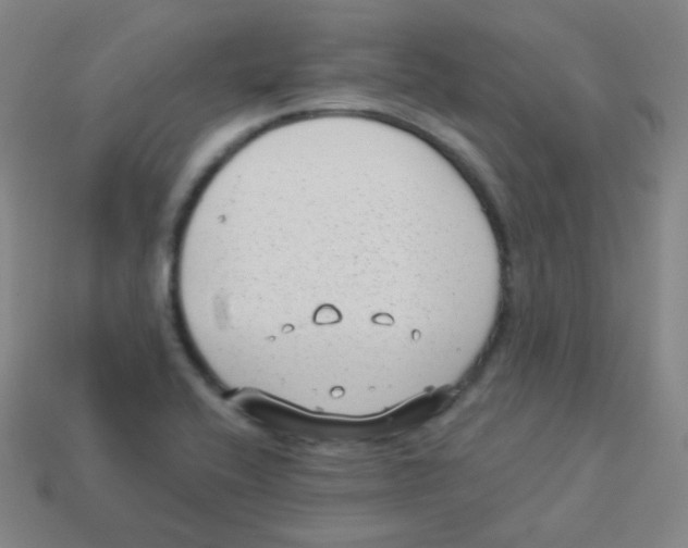 X0000113901416200910221428