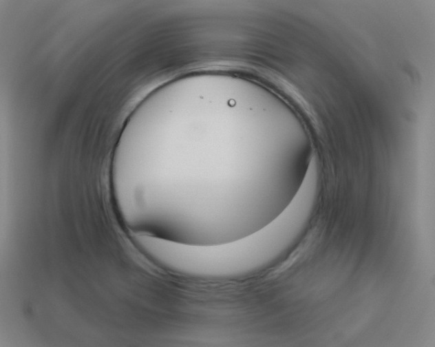 X0000113901417200910221428