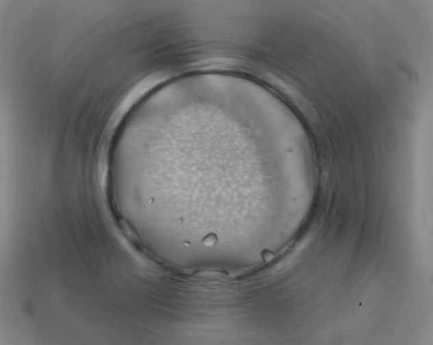 X0000113901418200910221428