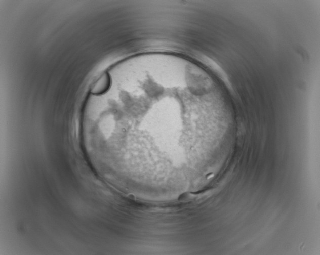 X0000113901419200910221428