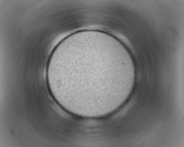 X0000113901420200910221428