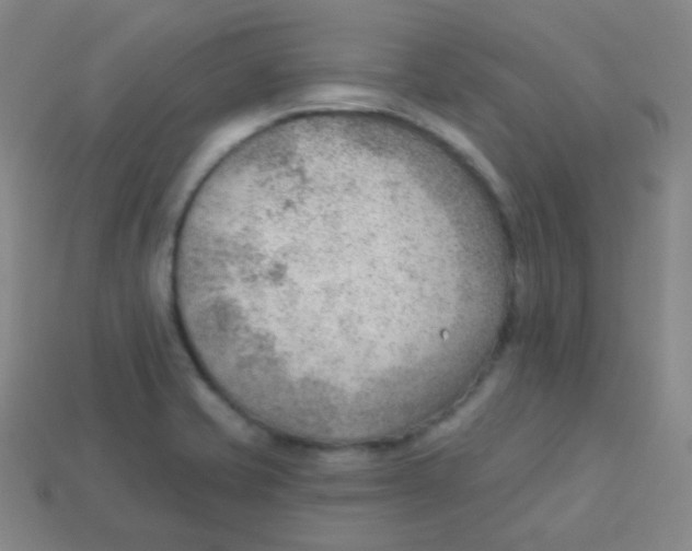 X0000113901421200910221428