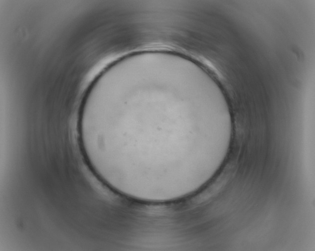 X0000113901422200910221428