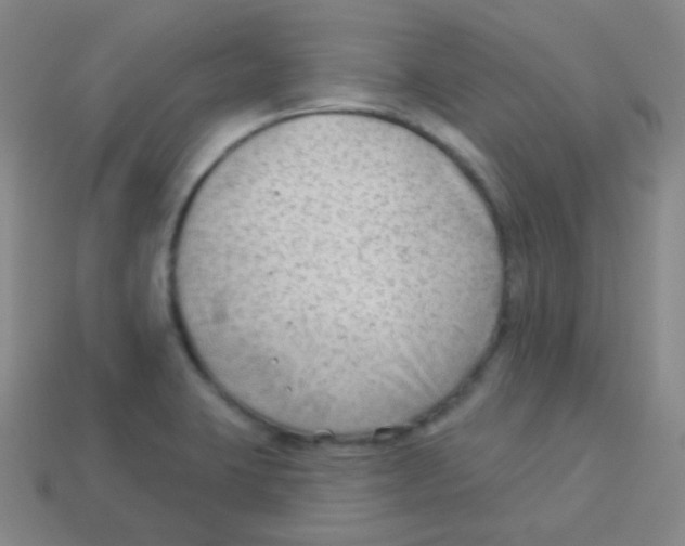 X0000113901423200910221428