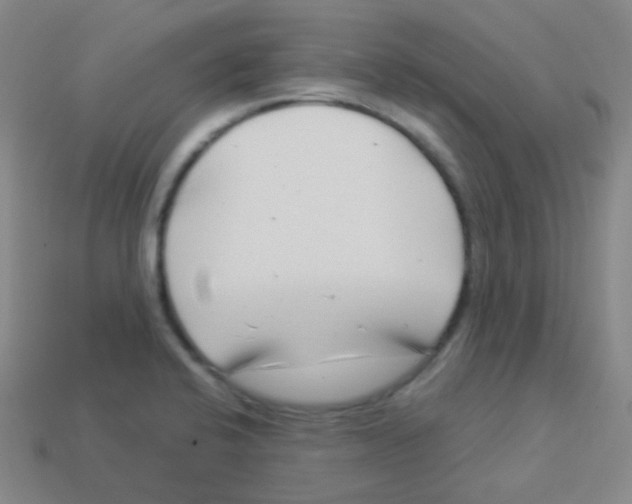 X0000113901424200910221428