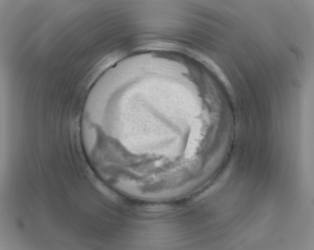 X0000113901425200910221428