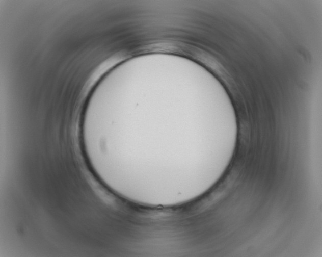 X0000113901426200910221428