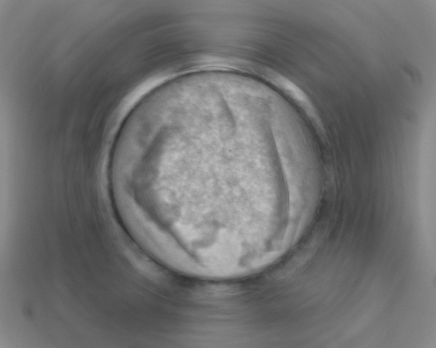 X0000113901427200910221428