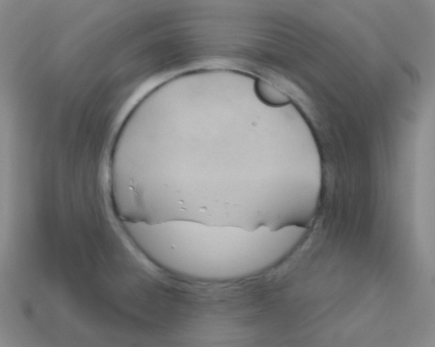 X0000113901428200910221428