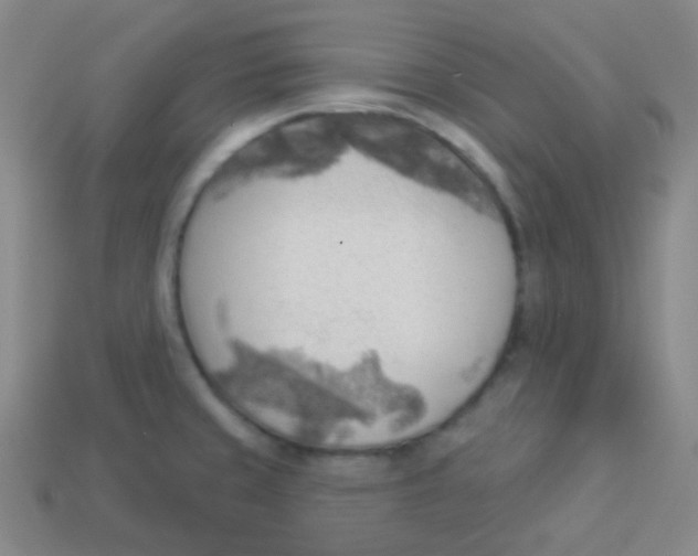 X0000113901429200910221428