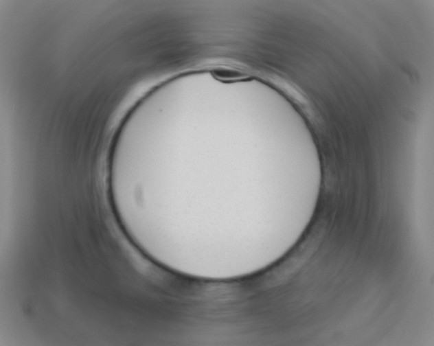 X0000113901430200910221429