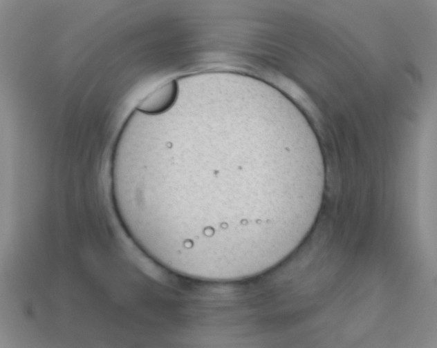 X0000113901431200910221429