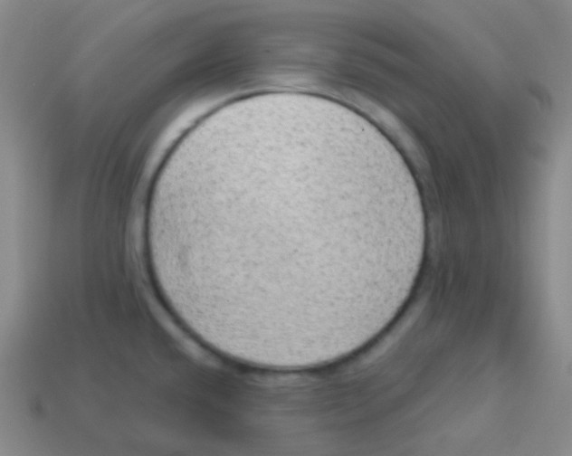 X0000113901432200910221429