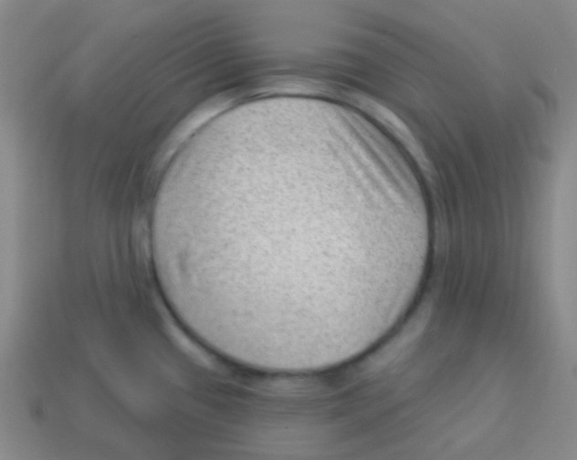 X0000113901433200910221429