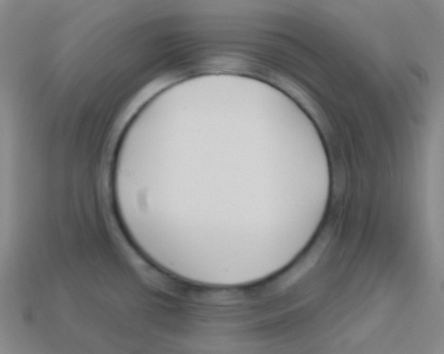 X0000113901434200910221429