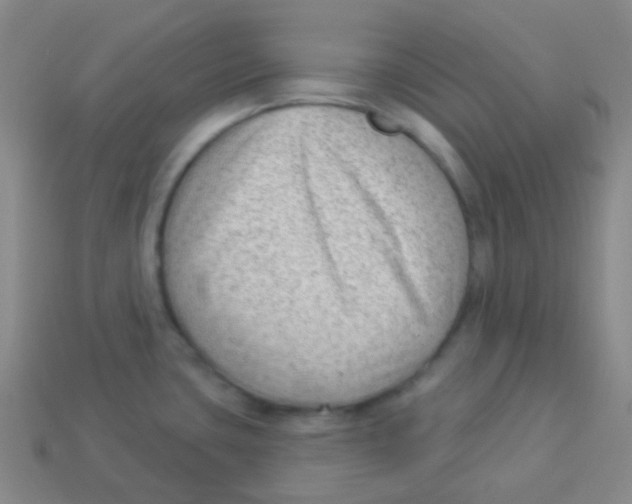 X0000113901435200910221429