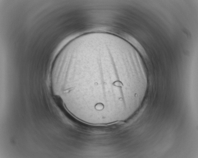 X0000113901436200910221429