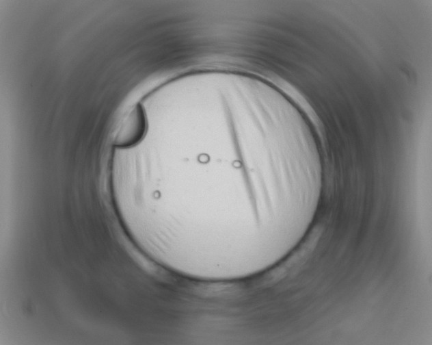 X0000113901437200910221429