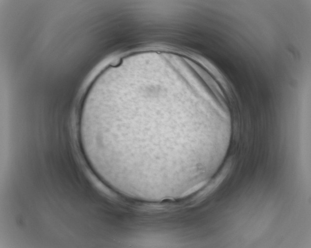 X0000113901438200910221429