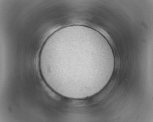 X0000113901439200910221429