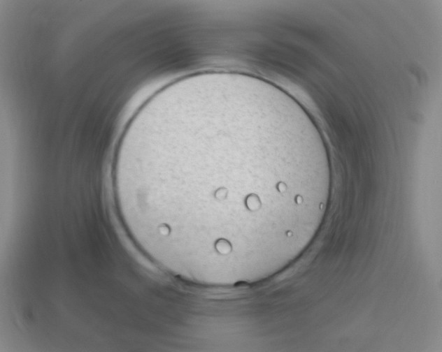 X0000113901440200910221429