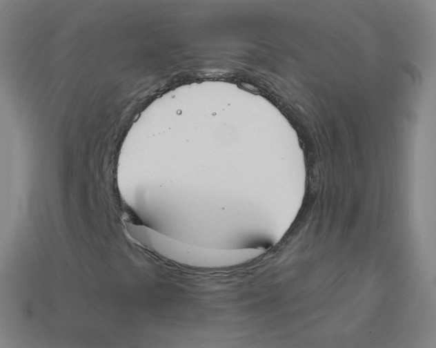 X0000113901441200910221428