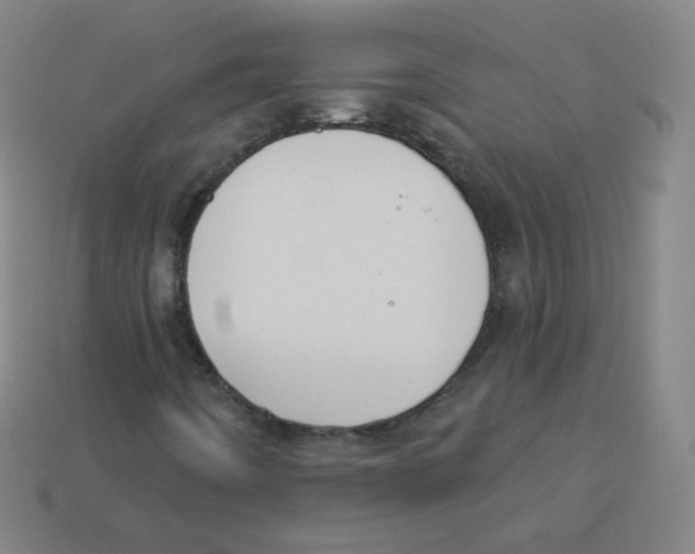 X0000113901442200910221428