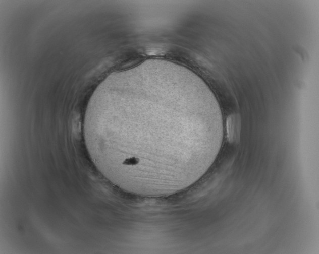 X0000113901443200910221428