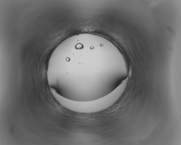 X0000113901444200910221428