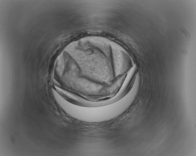 X0000113901445200910221428