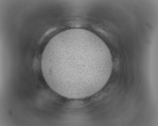 X0000113901446200910221428