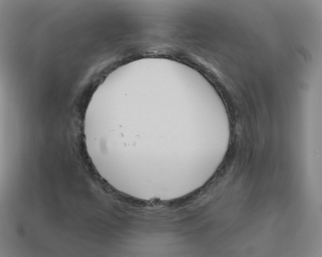 X0000113901447200910221428